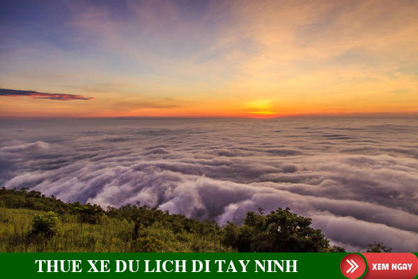 Thuê xe 7 chỗ đi Tây Ninh